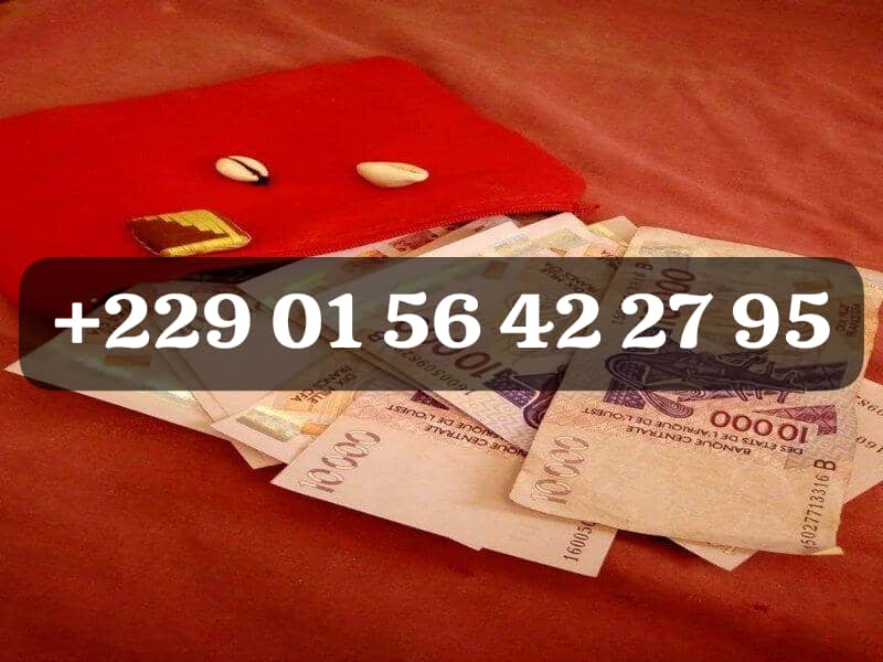 Comment avoir le vrai portefeuille magique (229 01 56 42 27 95 WhatsApp+229 01 56 42 27 95 Retour affectif
Multiplication d